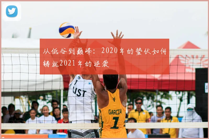 从低谷到巅峰：2020年的蛰伏如何铸就2021年的逆袭