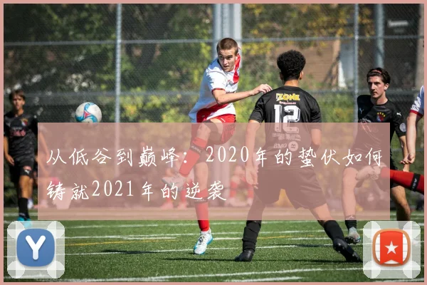 从低谷到巅峰：2020年的蛰伏如何铸就2021年的逆袭