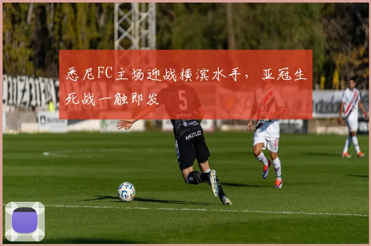 悉尼FC主场迎战横滨水手,亚冠生死战一触即发