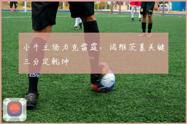 小牛主场力克雷霆,诺维茨基关键三分定乾坤
